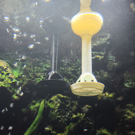 Floating Shrimp Feeder for your Aquarium