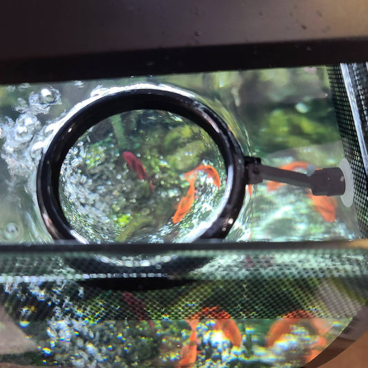 Floating Fish Feeder Ring with Suction Cup